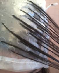 3.7 out of 5 stars 5. How To Put Blonde Streaks And Highlights In Brown Hair At Home Bellatory