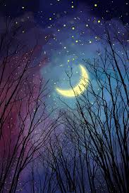 Night Forest Sky, Beautiful, Silhouette, Branch Illustration Image on  Pngtree, Free Download on Pngtree | Night sky painting, Beautiful night sky,  Forest moon