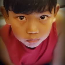 What is the source of the oil leak near the oil pump and oil pan in a Honda  Odyssey?