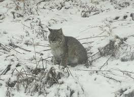 Random pictures from Berlin in the last month or so.