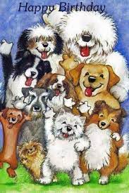 Birthday With Dogs Auguri Di Compleanno Divertenti Immagini Di Buon Compleanno Auguri Di Buon Compleanno