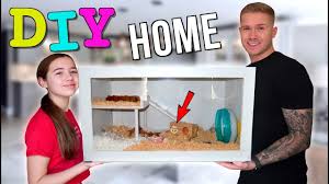 Best hamster cage minimum cage dimensions for a syrian hamster and dwarf hamsters diy hamster cage ikea billy cage. 8 Diy Hamster Cages You Can Build Today With Pictures Pet Keen