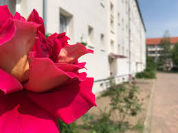 Der durchschnittliche kaufpreis für eine eigentumswohnung in gommern liegt bei 746,10 €/m². Wohnungsgesellschaft Gommern Facebook