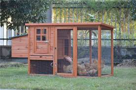 Maybe you would like to learn more about one of these? Reban Ayam Itik Diy Pembekal Penetas Telur Agrofarm Facebook