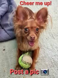 One of the best photos of our furbaby. Love the background.