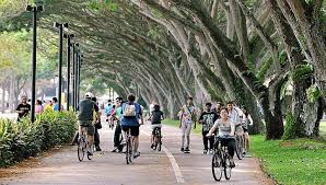 Cycling At East Coast Park East Coast Travel Fun Coast