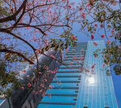 Maybe you would like to learn more about one of these? Top 5 Ngoi TrÆ°á»ng Ä'áº¡i Há»c Co Má»©c Há»c Phi Ä'áº¯t Ä'á» Nháº¥t Viá»‡t Nam Vinuni Váº«n Ngá»± Trá»‹ Ngoi Ä'áº§u