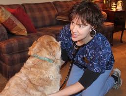 Maybe you would like to learn more about one of these? Metro East Home Vet Care Housecall Veterinary Practice For Cats And Dogs