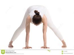 Yogi Female Doing Prasarita Padottanasana Pose Stock Image Image Of Posture Prasarita 57184039