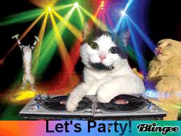 Sieh dir gifs mit lustigen katzen an und lache mit uns! Let S Party Katzen Geburtstag Alles Gute Zum Geburtstag Humor Lustige Katzen Videos