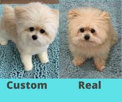 Dog Stuffed Animals Custom Plush Dog Suff Dog Replica Etsy Dog Replica Plush Dog Pets