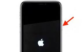 Iphone 11 And 11 Pro How To Hard Reset Enter Dfu Recovery Mode Macrumors