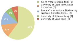 Image result for Melolobium calycinum