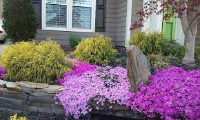 Designer John Bowles Of New Leaf Landscape Designs Fayetteville Nc Front Yard Bed Design Curb Appeal Phlox Small B Landscape Design Front Yard Landscape