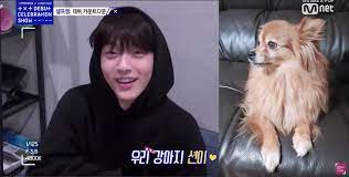 Check spelling or type a new query. Txt Ph Soobin And His Dog Sean I Don T Wanna Be Facebook