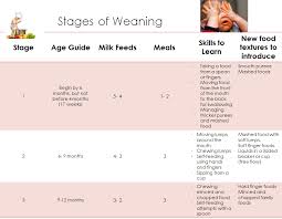 The Three Stages Of Weaning Building Healthy Habits