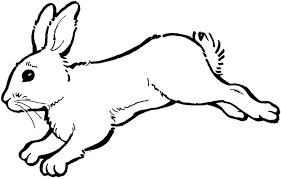 Maybe you would like to learn more about one of these? Gambar Sketsa Hewan Yang Lucu Dan Mudah Dibuat