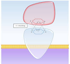 Check spelling or type a new query. Structural Relationships For Receptors And Ligands Deranged Physiology