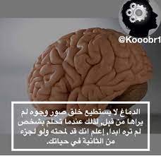 pin by fatima murtada on معلومات عامه general information