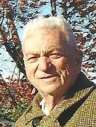 Raphael Adinolfi Obituary (2018)