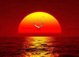 Animated Birds Flying In The Sky Gif Https Encrypted Tbn0 Gstatic Com Images Q Tbn 3aand9gcsjgzlar6gea5jo Edminnkq4libiizxptexa Usqp Cau