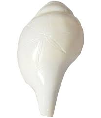 Also known as the right opening shankh is found very rarely and that too to a fortunate few. Dakshinavarti Shankh Buy Dakshinavarti Shankh At Best Price In India On Snapdeal