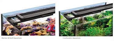 The 10 Best Led Aquarium Lighting 2020 Guide Reviews