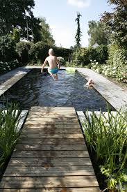 Zwemvijver Basis Zwemvijver Wellness Zwembad In 2020 Schwimmteich Schwimmbader Hinterhof Naturschwimmbecken
