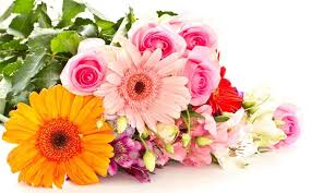 Download the perfect beautiful flower pictures. The Top 7 Most Inexpensive Totally Beautiful Flowers Eagle Link Flowers