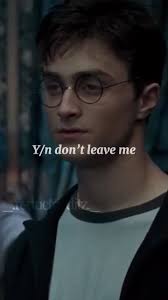 Harry Potter James Karl Mount