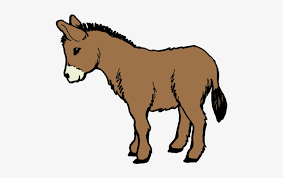 Uclipart provides free download of donkey clipart for your web sites, project, art design or presentations. Clip Art Donkey Clipart Image Donkey Clip Art 500x438 Png Download Pngkit