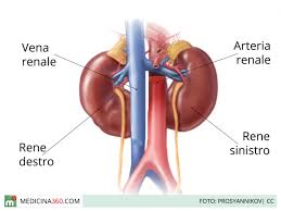 L'insufficienza renale acuta (o blocco renale) e l'insufficienza renale cronica. Insufficienza Renale Acuta Sintomi Cause Dieta E Terapia