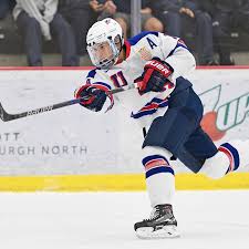 His season can be looked at in two parts. 2018 Nhl Draft Profile Usntdp Forward Oliver Wahlstrom Sel Defenseman Adam Boqvist Canes Country