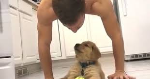 We have been rescuing golden retrievers since 1998 and operate in the state of arizona. Man Working Out With His Golden Retriever Puppy Popsugar Pets