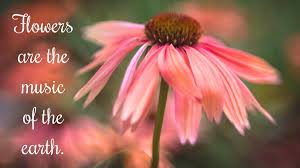 Jul 20, 2021 · rest assured. 71 Songs About Flowers Spinditty
