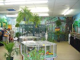 Bird Paradise Exotic Birds In Burlington Nj 08016 Nj Com
