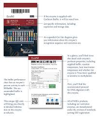 neb enzyme compatibility chart 2019