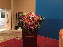 绿植租摆租花办公室绿植办公室绿植租赁办公室绿植出租北京彩易缤纷花卉有限公司 bridesmaid bridesmaid dresses wedding