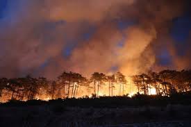 In an elite arena, 12-year-old Yu Zidi makes a talent statement | The  Straits Times