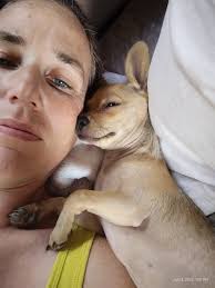 Cat keeps owner company while working