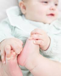 Profile for Elizabeth Johnson Photography