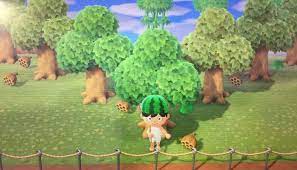 If a friend already has a check out our dedicated guide on how to catalog trade here. Having Only 7 Trees On Your Island Guarantees You 5 Wasps And 2 Pieces Of Furniture A Day Animalcrossing