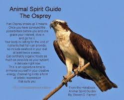 Osprey Animal Spirit Guides Spirit Guides Spirit Animal Totem