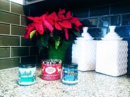 Thank You Ms Terri And Her New Puppy Daisy For The Wonderful Gift Of Candles Candleday Seasonalsen Holiday Lights Wonderful Gift Coors Light Beer Can