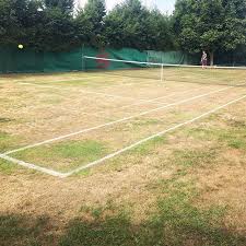 Tennis Rasentennis Tennisimgarten Gutefreunde Prunn August 15 2018 At 04 52pm Soccer Field Instagram Tennis Court