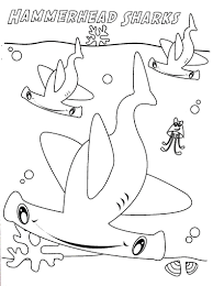 From the mighty strong great white shark, the always calm and peaceful whale shark, the extra sensitive hammerhead shark, and the exotic leopard shark. Cartoon Hammerhead Shark Coloring Page Novocom Top