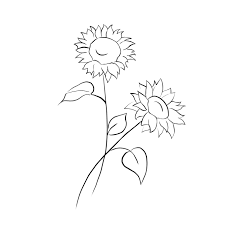 Make A Simple Minimalist Tattoo Drawing By Scenic Determine the size of the sunflower you intend to draw. scenic i will make a simple minimalist tattoo drawing for 5 on fiverr com