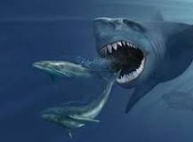 史上最大のサメ「メガロドン」は温血動物だったことが判明 - GIGAZINE