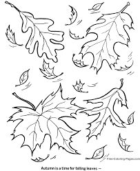 Below you'll find our collection of free printable fall coloring pages that are great for both kids and adults. Fall Coloring Pages 05 Fall Leaves Coloring Pages Fall Coloring Sheets Fall Coloring Pages