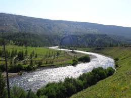 We did not find results for: Yellowstone National Park Fatpacking Trip 2016